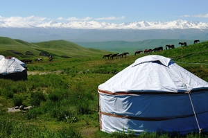 Visit Sibers office in Bishkek, Kyrgyzstan